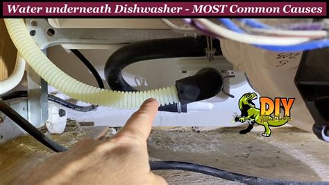 dishwasher drain pump leaking|Dishwasher is Leaking Water: Top 6 Reasons and Fixes (With。